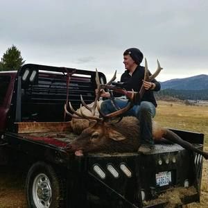 Meet your Posher, Abigail